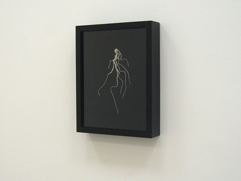 All Neurons Are Electrically Excitable